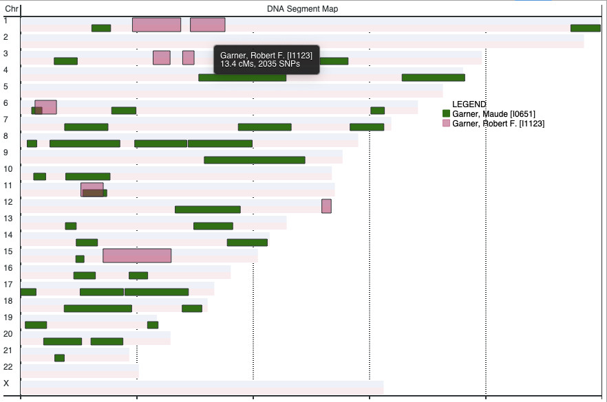 Addon-DNA-SegmentMap-with-Tooltip.jpg